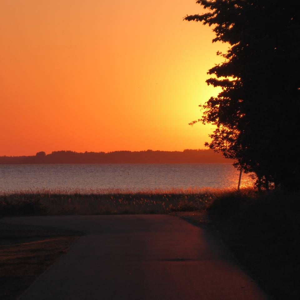 Sonnenuntergang am Bodden - Bio Urlaub auf Gut Nisdorf an der Ostsee